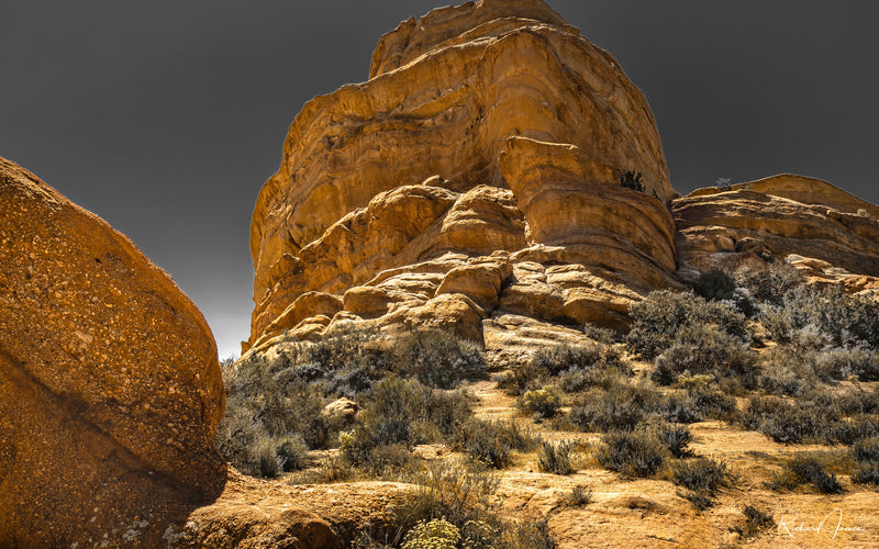 Vasquez Rocks III