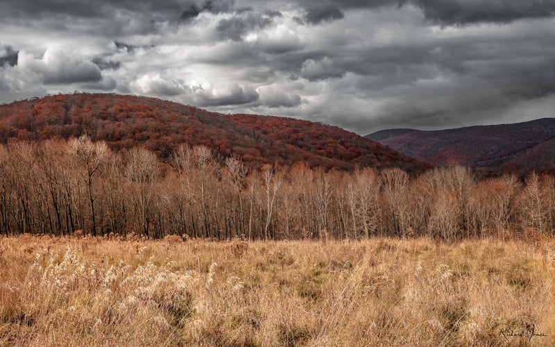 Autumn in Connecticut