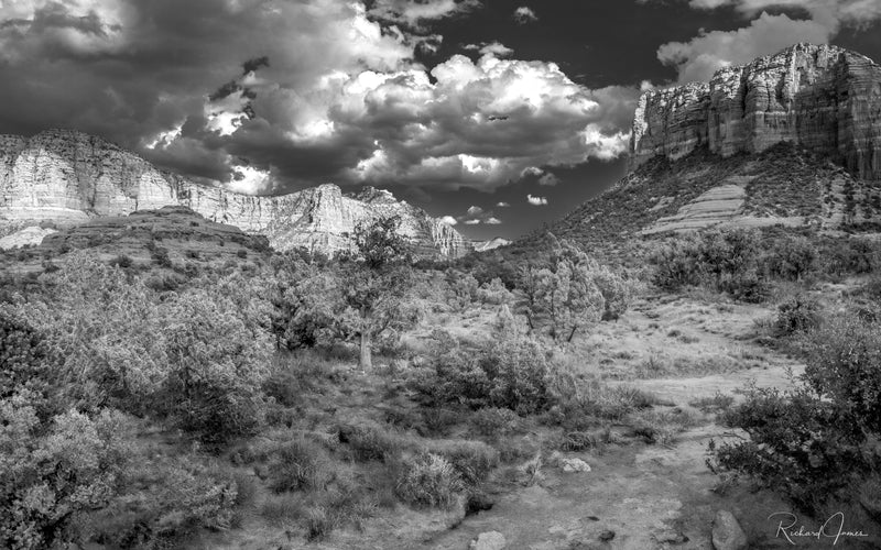 Sedona Two (B&W)