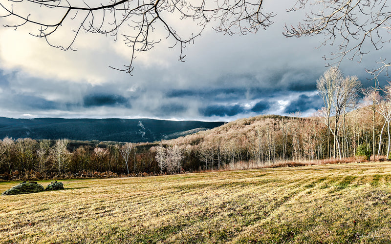 Snowless New England