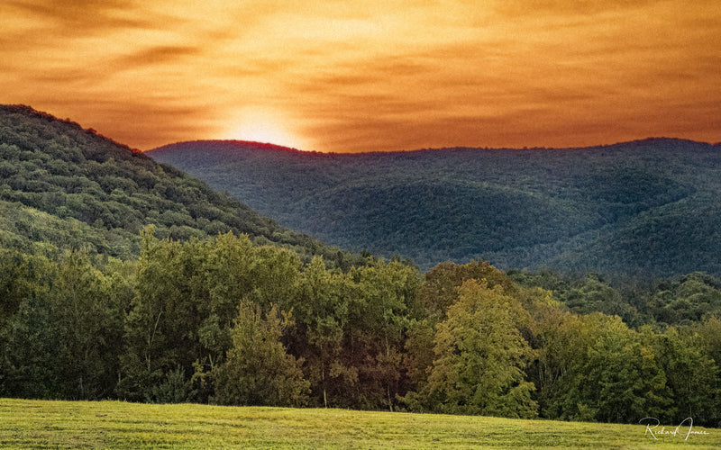 Hill Meadow Sunset