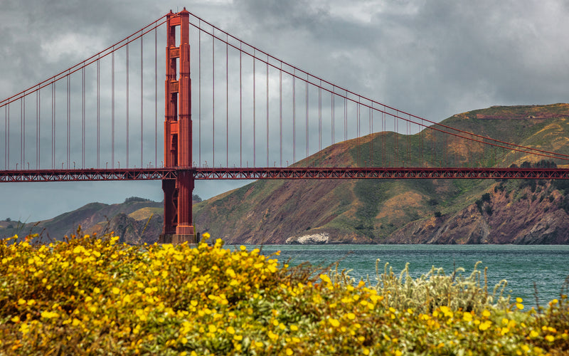 Golden Gate