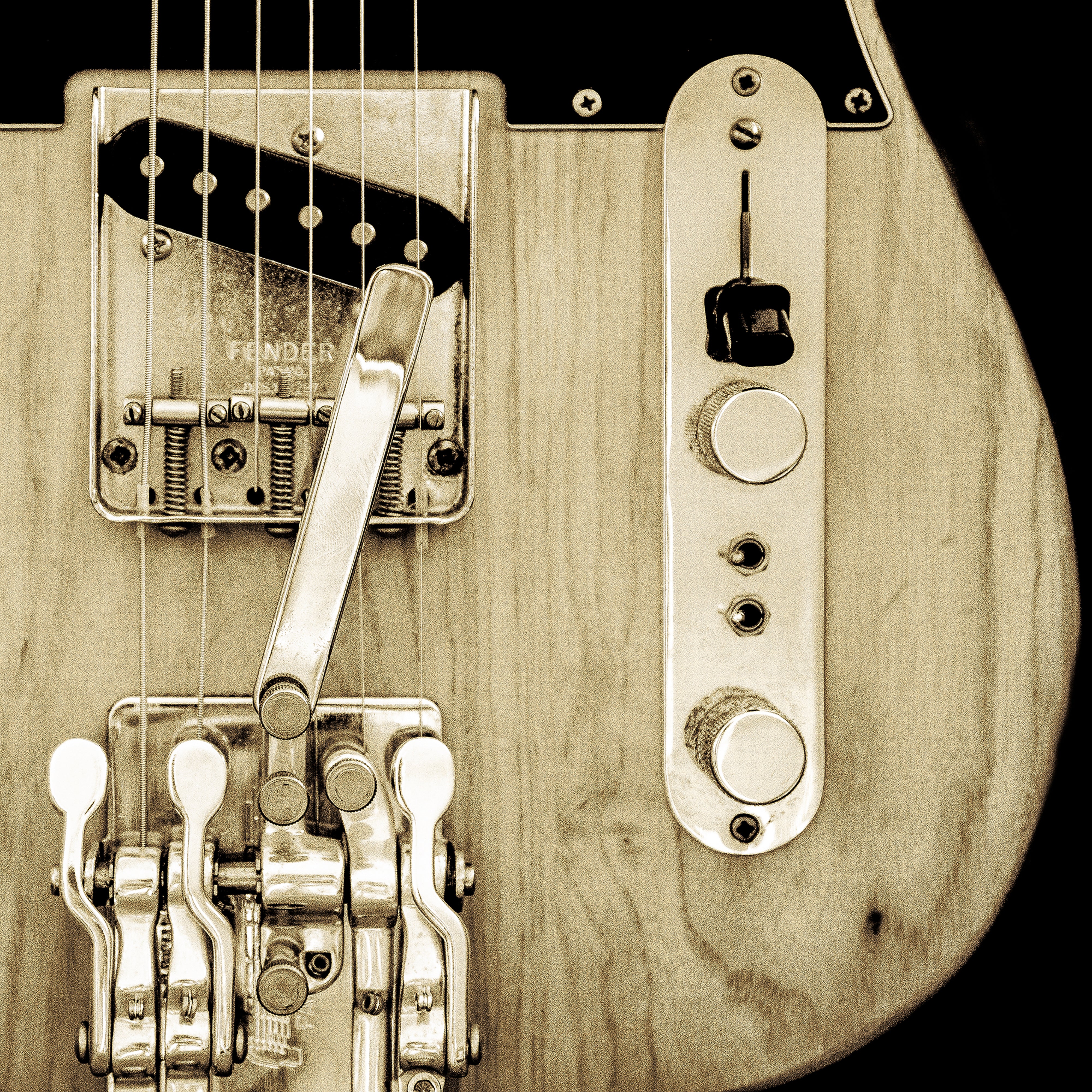 Bloom/TelecasterType トップローディング仕様 T-Style Guitar Body - Build Your Own - BloomDoom Guitar Co.